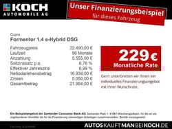 Grau Gebraucht 2022 Cupra Formentor SUV | 22.490 € (Superpreis)