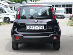 Andere Gebraucht 2023 Fiat Panda Kleinwagen | 14.049 € (Etwas zu teuer)