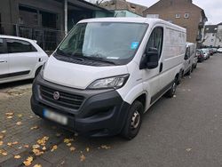 Weiß Gebraucht 2020 Fiat Ducato Van | 8.900 € (Guter Preis)