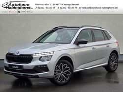 Silber Gebraucht 2024 Skoda Kamiq Selection SUV | 28.390 € (Etwas zu teuer)
