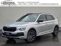Silber Neu 2024 Skoda Kamiq Selection SUV | 28.390 € (Etwas zu teuer)