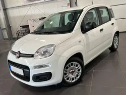 Colore esterno (weiss) Gebraucht 2021 Fiat Panda Urban Kleinwagen | 9.995 € (Guter Preis)