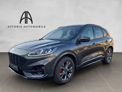 Grau Gebraucht 2024 Ford Kuga ST-Line X SUV | 27.990 € (Guter Preis)