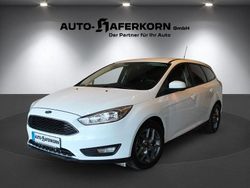 Weiß Gebraucht 2016 Ford Focus Business Edition Kombi | 7.899 € (Fairer Preis)