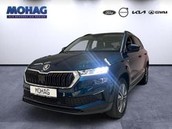 Blau Gebraucht 2023 Skoda Karoq Tour SUV | 26.890 € (Guter Preis)