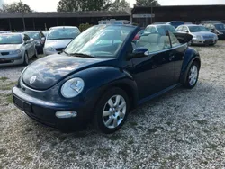 Blau Gebraucht 2005 VW Beetle Cabrio | 2.999 € (Fairer Preis)