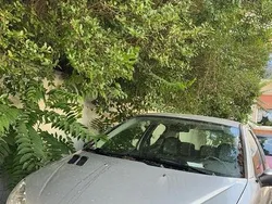 Silber Gebraucht 2003 Peugeot 206 Kleinwagen | 1.300 €