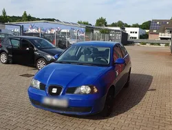 Blau Gebraucht 2002 Seat Ibiza Kleinwagen | 1.100 € (Etwas zu teuer)