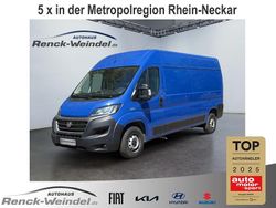 Blau Gebraucht 2020 Fiat Ducato Van | 21.989 € (Teuer)