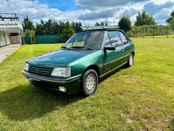 Grün Gebraucht 1992 Peugeot 205 Cabrio | 4.000 €