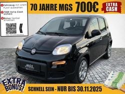 Cinema schwarz Gebraucht 2024 Fiat Panda Limousine | 11.990 € (Fairer Preis)