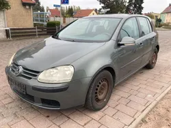 Grün Gebraucht 2004 VW Golf V Comfortline Limousine | 1.490 € (Superpreis)
