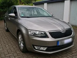 Beige Gebraucht 2013 Skoda Octavia Limousine | 6.200 € (Fairer Preis)