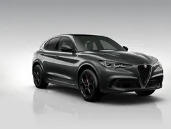 Grau Neu 2025 Alfa Romeo Stelvio Quadrifoglio SUV | 99.990 €