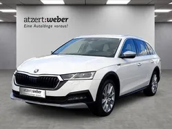 Candyweiss Gebraucht 2022 Skoda Octavia Scout 4x4 Kombi | 27.990 € (Guter Preis)