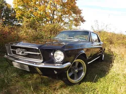 Blau Gebraucht 1967 Ford Mustang Coupé | 33.333 €