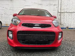 Rot Gebraucht 2015 Kia Picanto Kleinwagen | 5.999 € (Fairer Preis)