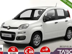 Weiß Neu 2025 Fiat Panda Kleinwagen | 13.748 € (Guter Preis)