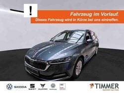 Grau Gebraucht 2021 Skoda Octavia Kombi | 21.450 € (Guter Preis)