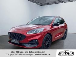 Lucidrot Gebraucht 2023 Ford Kuga ST-Line X SUV | 20.930 € (Guter Preis)