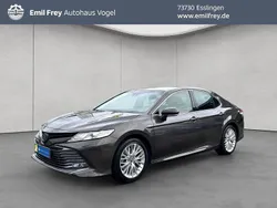 Braun Gebraucht 2020 Toyota Camry Executive Limousine | 28.840 € (Etwas zu teuer)