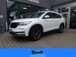 Weiß Neu 2024 DFSK Fengon SUV | 34.990 €