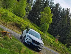 Weiß Gebraucht 2022 Cupra Formentor SUV | 26.500 € (Etwas zu teuer)