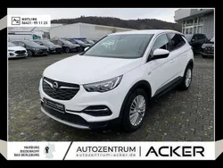 Othercolor Gebraucht 2018 Opel Grandland X Dynamic SUV | 14.480 € (Fairer Preis)