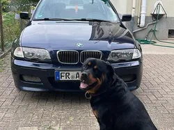 Blau Gebraucht 1999 BMW 323 Limousine | 1.500 € (Fairer Preis)