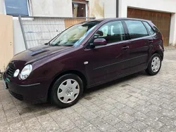 Violet Gebraucht 2001 VW Polo Kleinwagen | 550 € (Guter Preis)