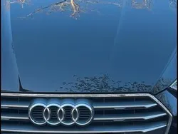 Schwarz Gebraucht 2019 Audi A5 Coupé | 27.499 € (Fairer Preis)