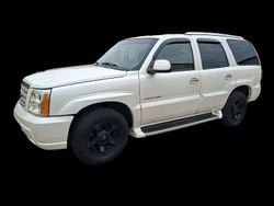 Weiß Gebraucht 2002 Cadillac Escalade SUV | 10.900 €
