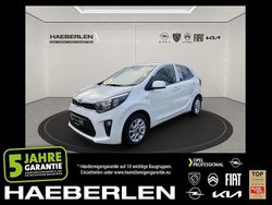 Weiß Gebraucht 2019 Kia Picanto DREAM-TEAM Edition Kleinwagen | 10.390 € (Fairer Preis)