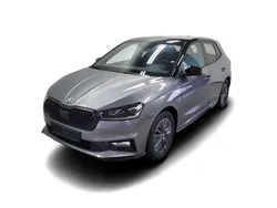 Grau Gebraucht 2024 Skoda Fabia Monte Carlo Limousine | 27.249 € (Etwas zu teuer)