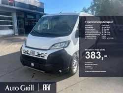 Weiss ducato weiss Gebraucht 2025 Fiat Ducato 33 Van | 31.987 € (Guter Preis)
