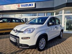 Weiß Gebraucht 2023 Fiat Panda Kleinwagen | 13.990 € (Etwas zu teuer)
