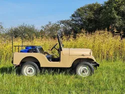 Braun Gebraucht 1968 Jeep CJ SUV | 11.500 €