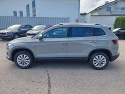 Stahlgrau Neu 2025 Skoda Karoq Selection SUV | 32.990 € (Guter Preis)