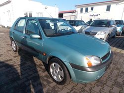 Grün Gebraucht 2002 Ford Fiesta Futura Kleinwagen | 1.900 € (Fairer Preis)