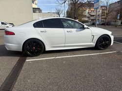 Weiß Gebraucht 2014 Jaguar XF S Limousine | 12.900 € (Etwas zu teuer)