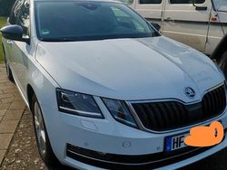 Weiß Gebraucht 2018 Skoda Octavia Clever Kombi | 12.500 € (Fairer Preis)