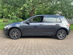 Grau Gebraucht 2016 VW Golf VII Allstar Limousine | 13.490 € (Fairer Preis)