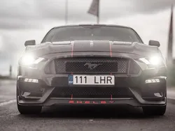 Schwarz Gebraucht 2019 Ford Mustang | 29.500 € (Fairer Preis)