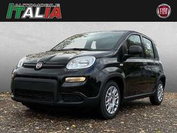 Schwarz Gebraucht 2024 Fiat Panda Kleinwagen | 14.290 € (Fairer Preis)