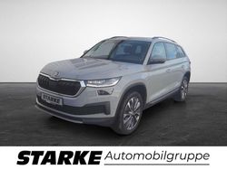 Steelgrau Gebraucht 2023 Skoda Kodiaq Tour SUV | 29.870 € (Guter Preis)