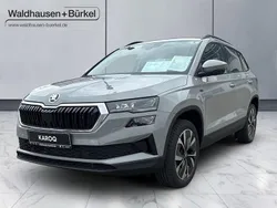 Steelgrau Neu 2025 Skoda Karoq Selection SUV | 39.990 € (Teuer)