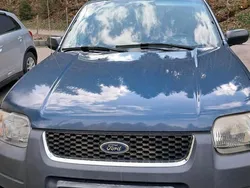 Blau Gebraucht 2001 Ford Maverick XLT SUV | 2.500 € (Fairer Preis)