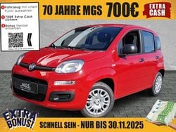 Rot Neu 2025 Fiat Panda Kleinwagen | 17.490 € (Teuer)