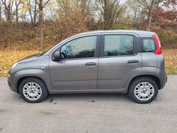 Grau Gebraucht 2021 Fiat Panda Kombi | 8.600 € (Fairer Preis)
