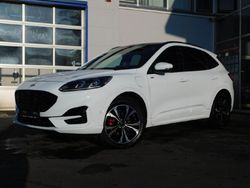 Weiß Gebraucht 2022 Ford Kuga ST-Line X SUV | 31.990 € (Teuer)